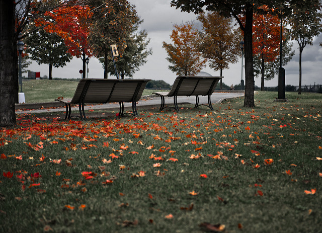 Benches. Alone. Fall.